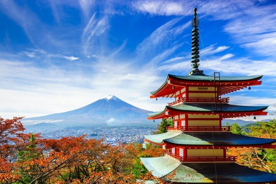 Mount Fuji Sightseeing on Private car with English guide