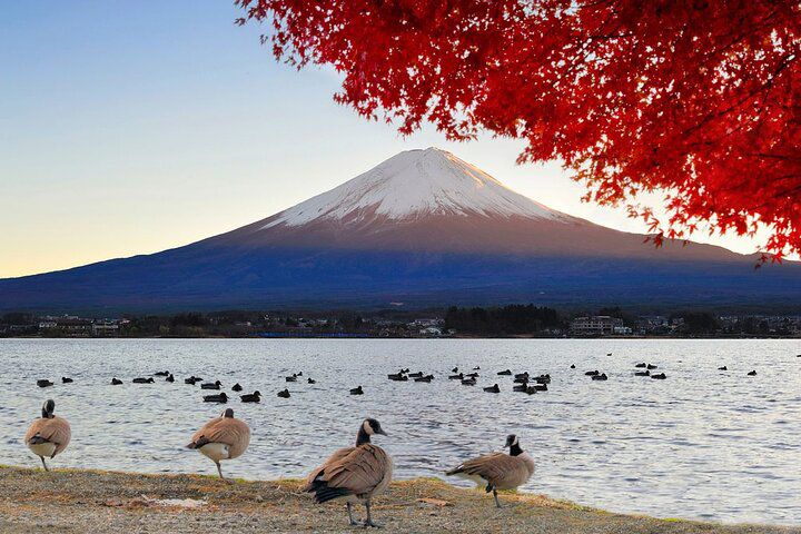 Stop At: Lake Kawaguchiko